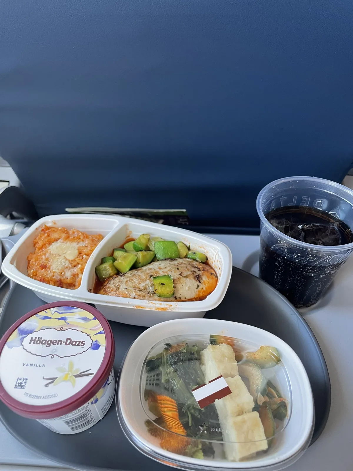 첫 번째 기내식