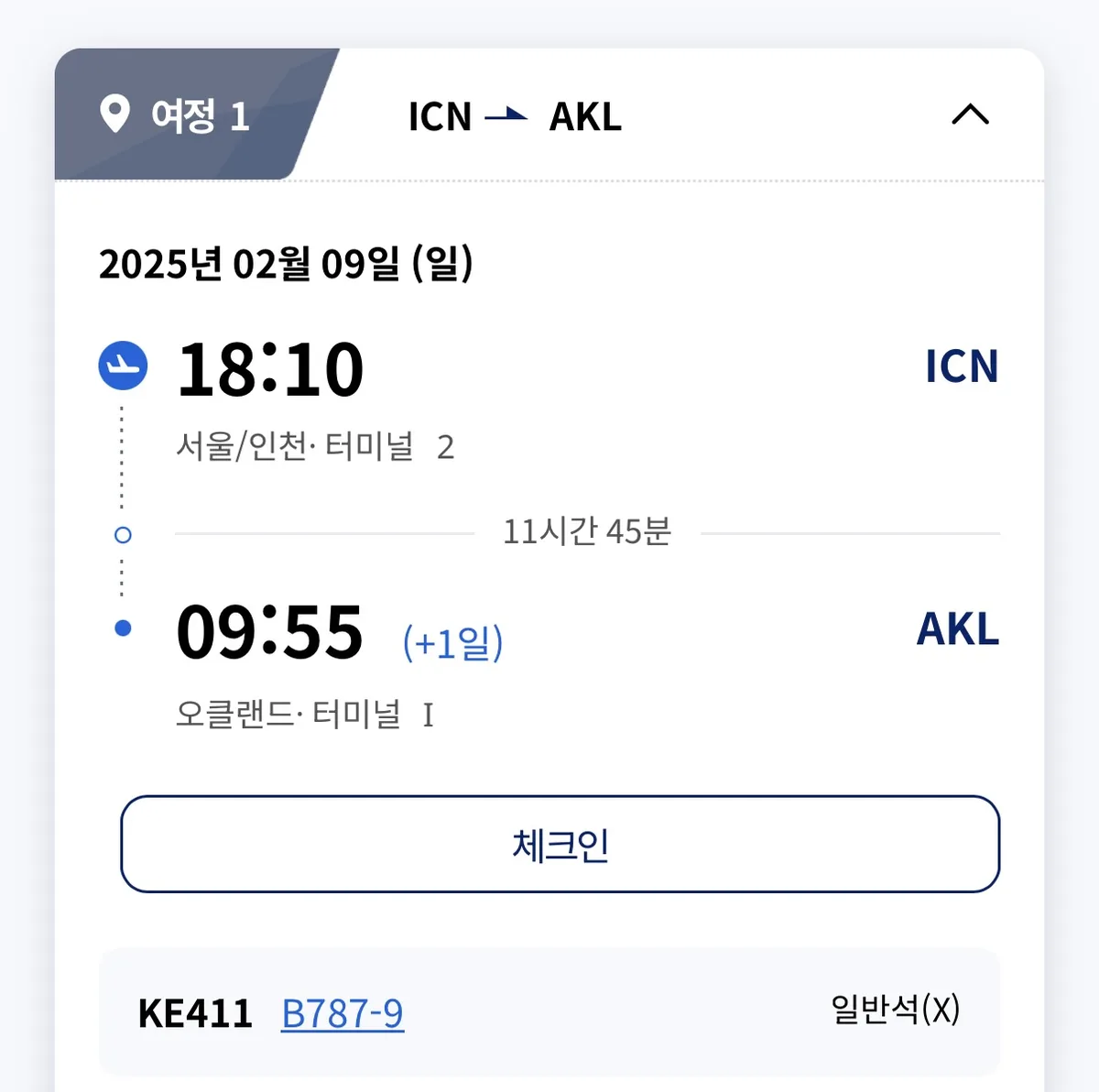 대한항공 마일리지 발권 항공권