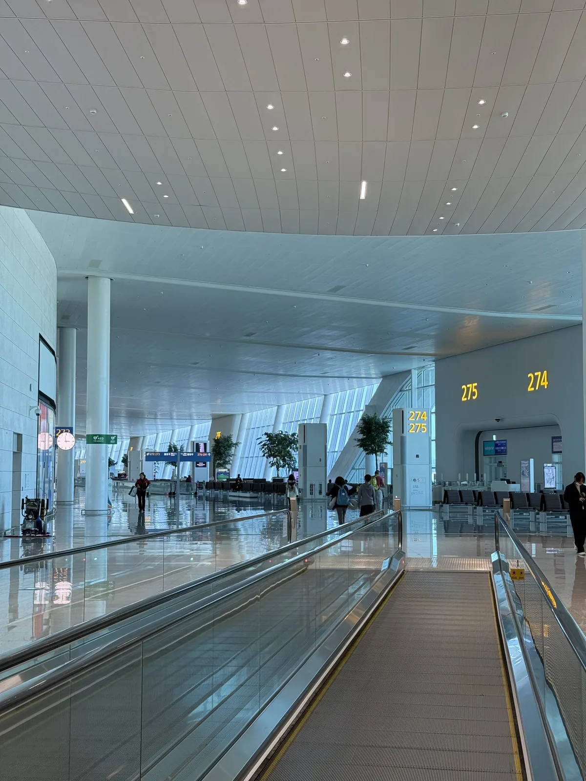 대한항공 셀프 체크인 및 백드랍