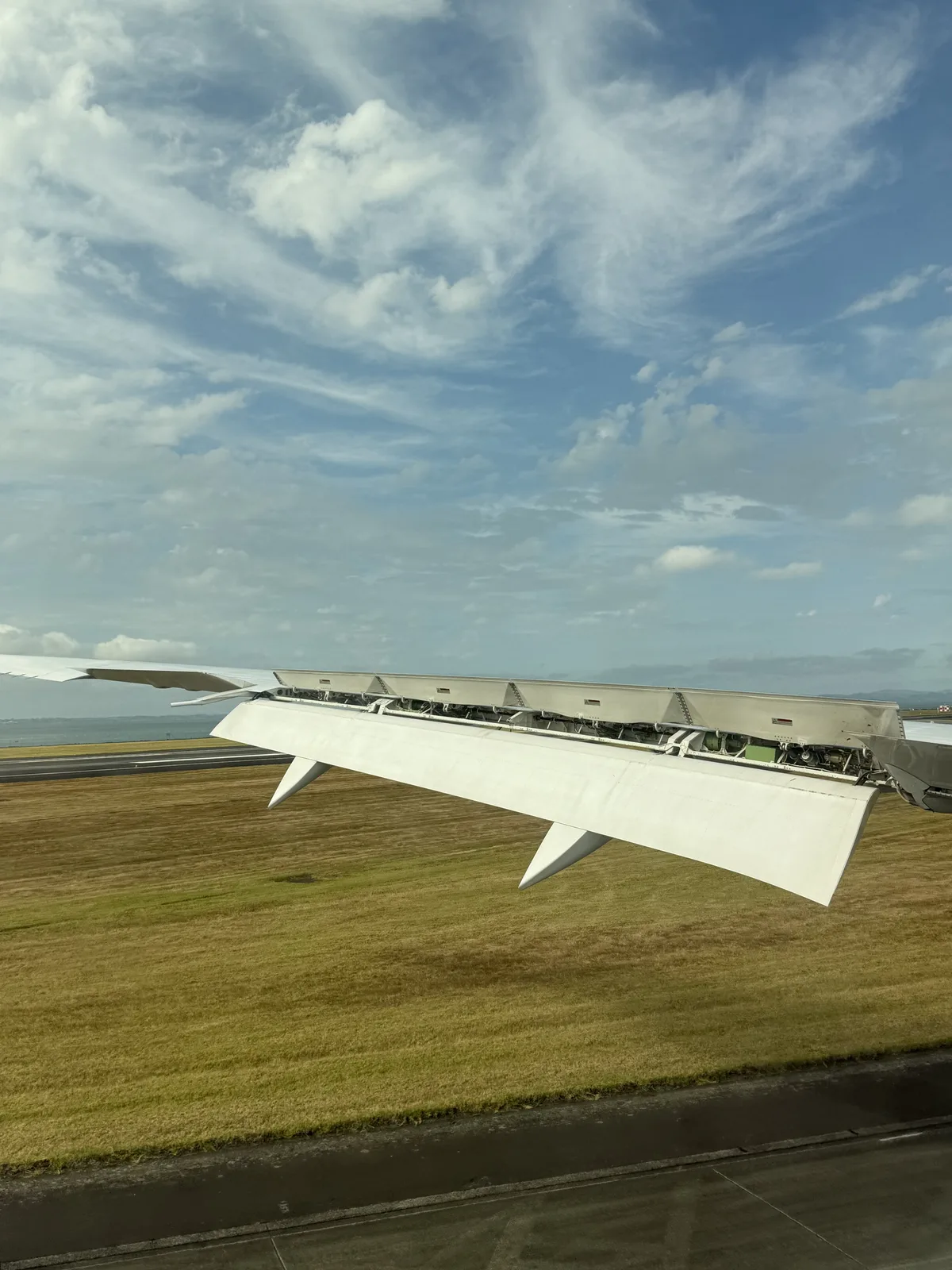 오클랜드 국제공항 도착 후 NZeta 앱 화면