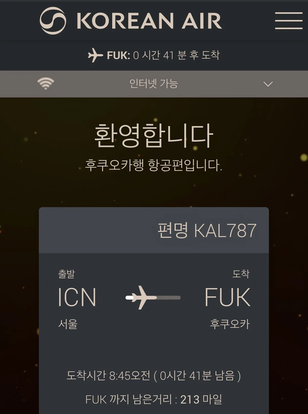 대한항공 기내 앱 KAL787 인천 후쿠오카 잔여거리 213마일 41분