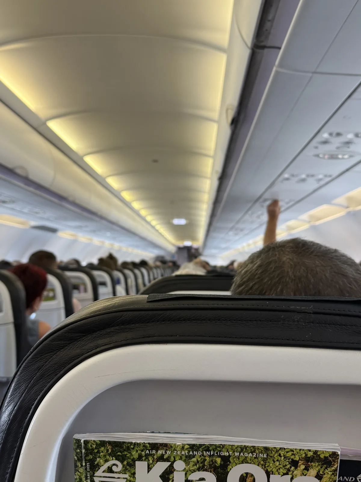 에어뉴질랜드 A320 이코노미 기내 전경