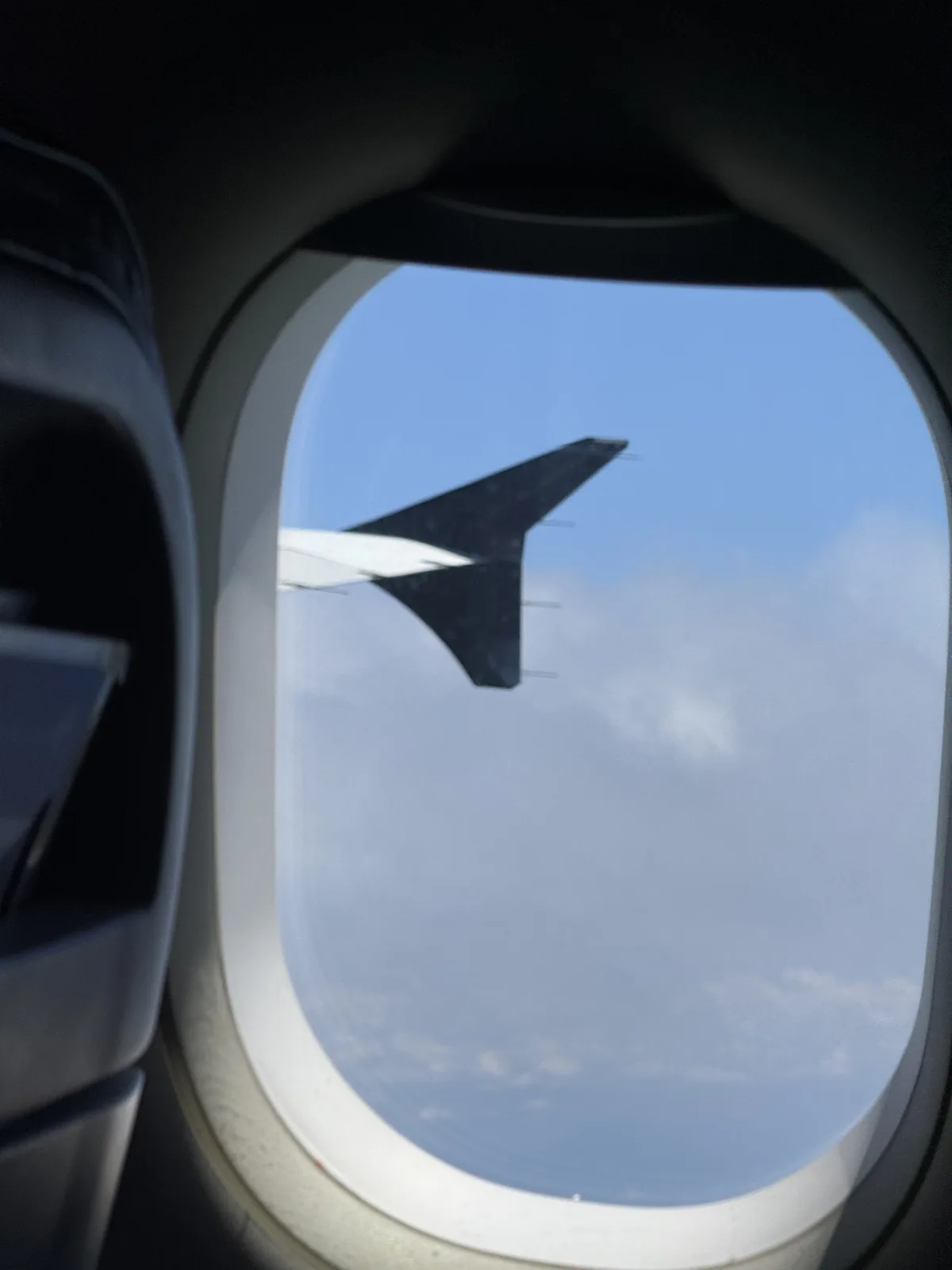 에어뉴질랜드 기내 모니터 상식퀴즈 화면